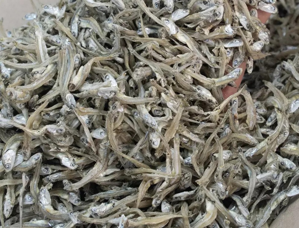 볶음 조림용 가이리 멸치